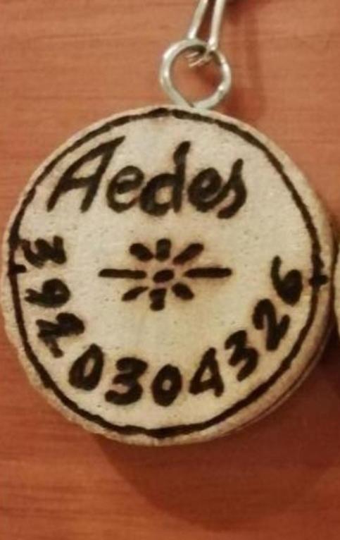 Gruppo Aedes Alghero, Residenza Michelangelo - 500 Mt Dalla Spiaggia Εξωτερικό φωτογραφία